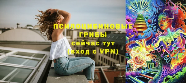 PSILOCYBIN Беломорск