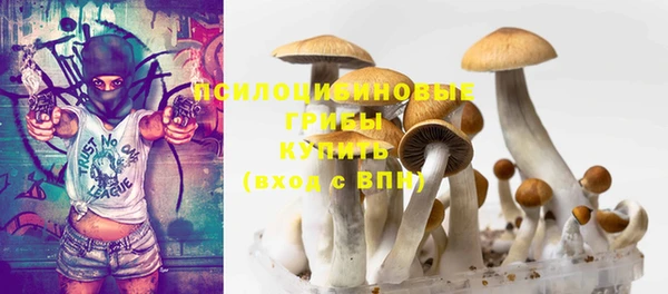 дживик Белокуриха